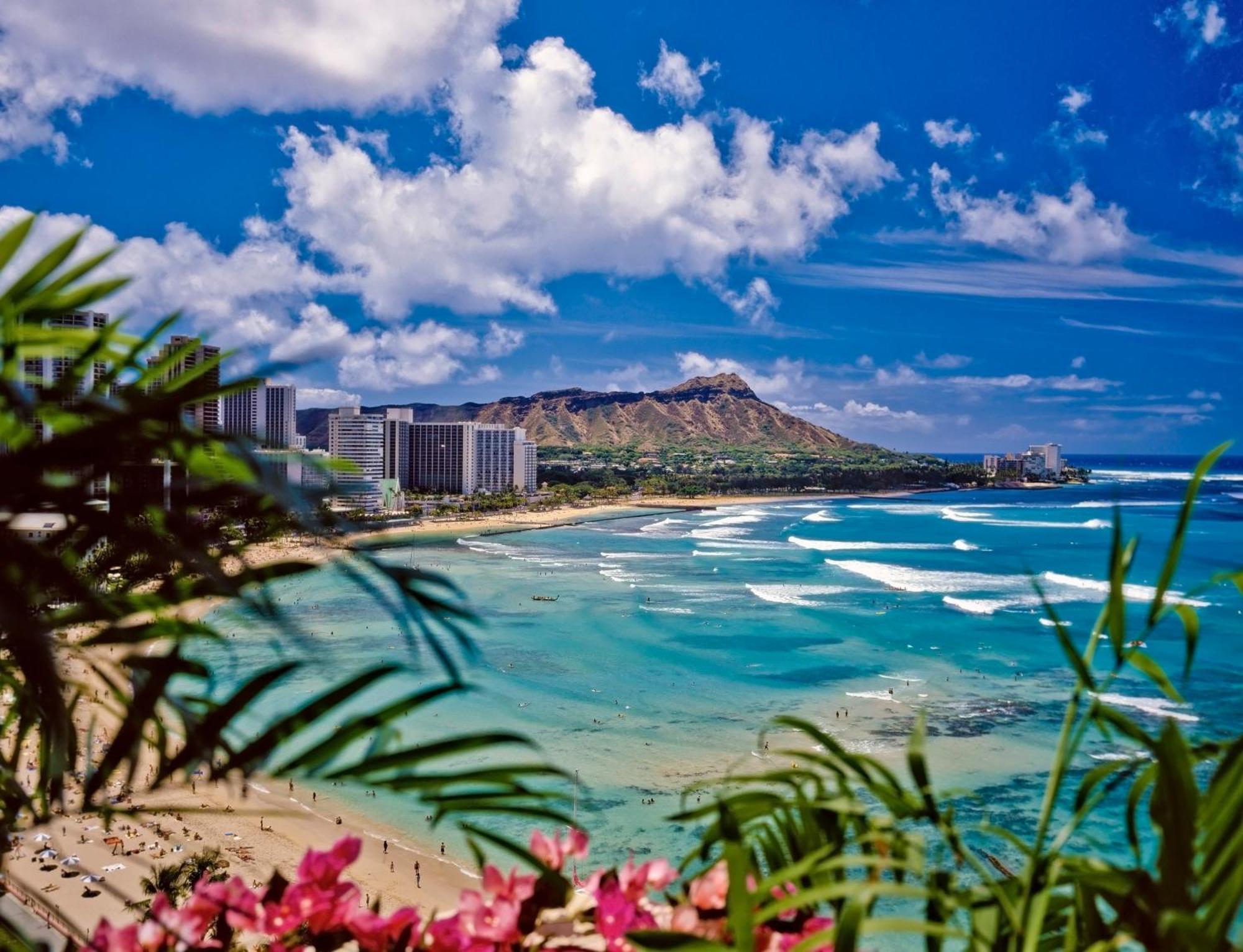 Great Ocean View Condo, Near Beach With Free Parking! Honolulu Eksteriør billede