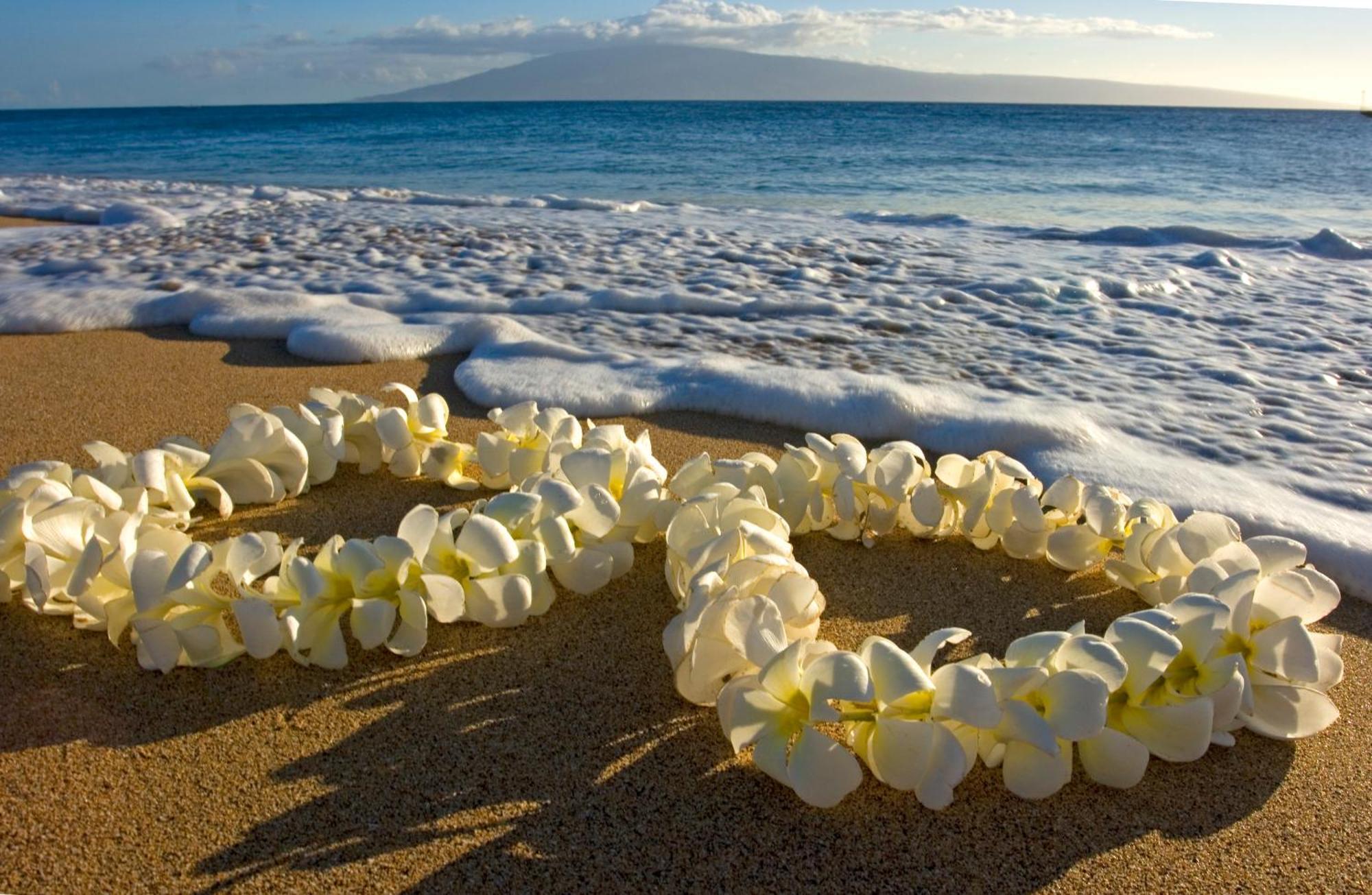Great Ocean View Condo, Near Beach With Free Parking! Honolulu Eksteriør billede