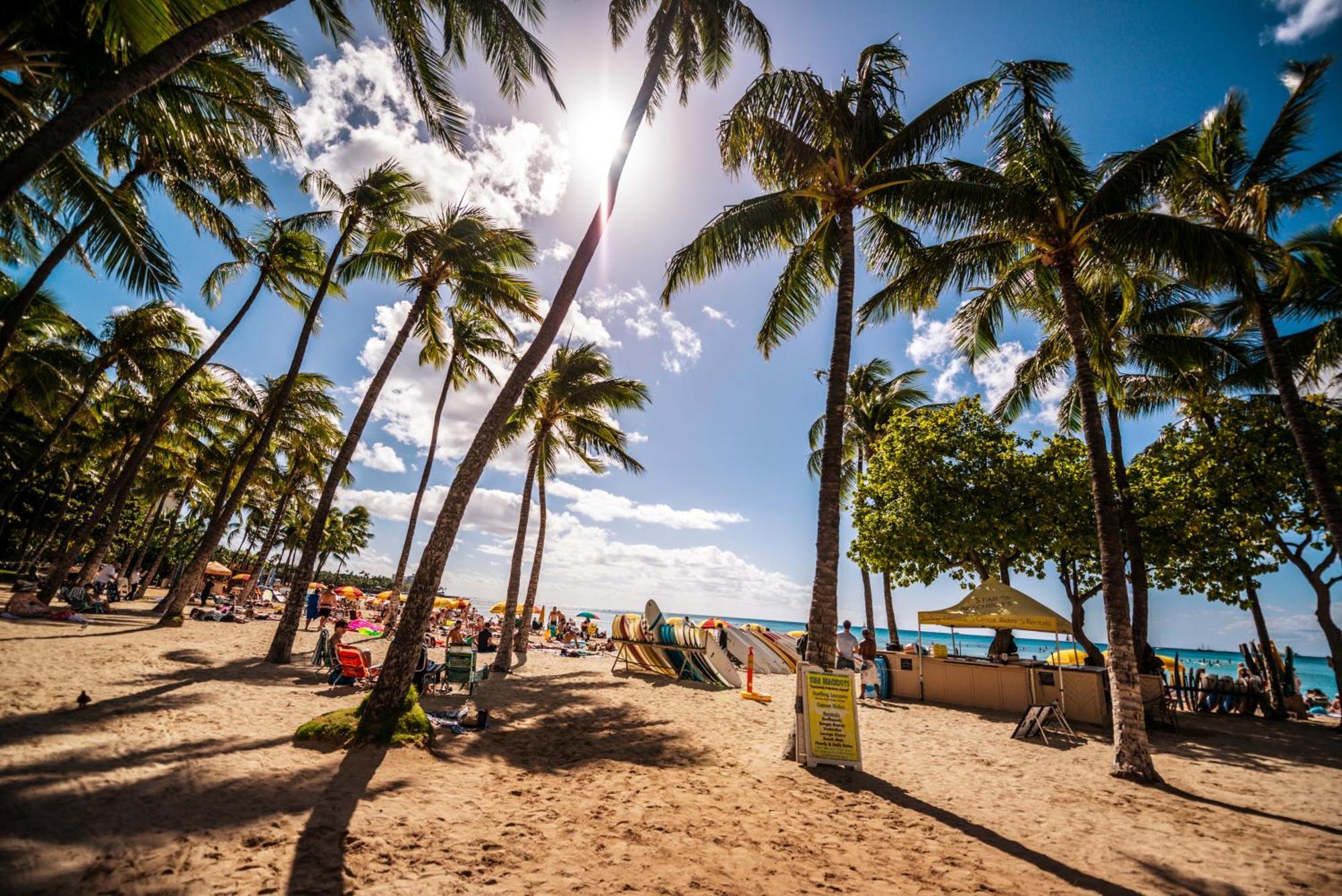 Great Ocean View Condo, Near Beach With Free Parking! Honolulu Eksteriør billede
