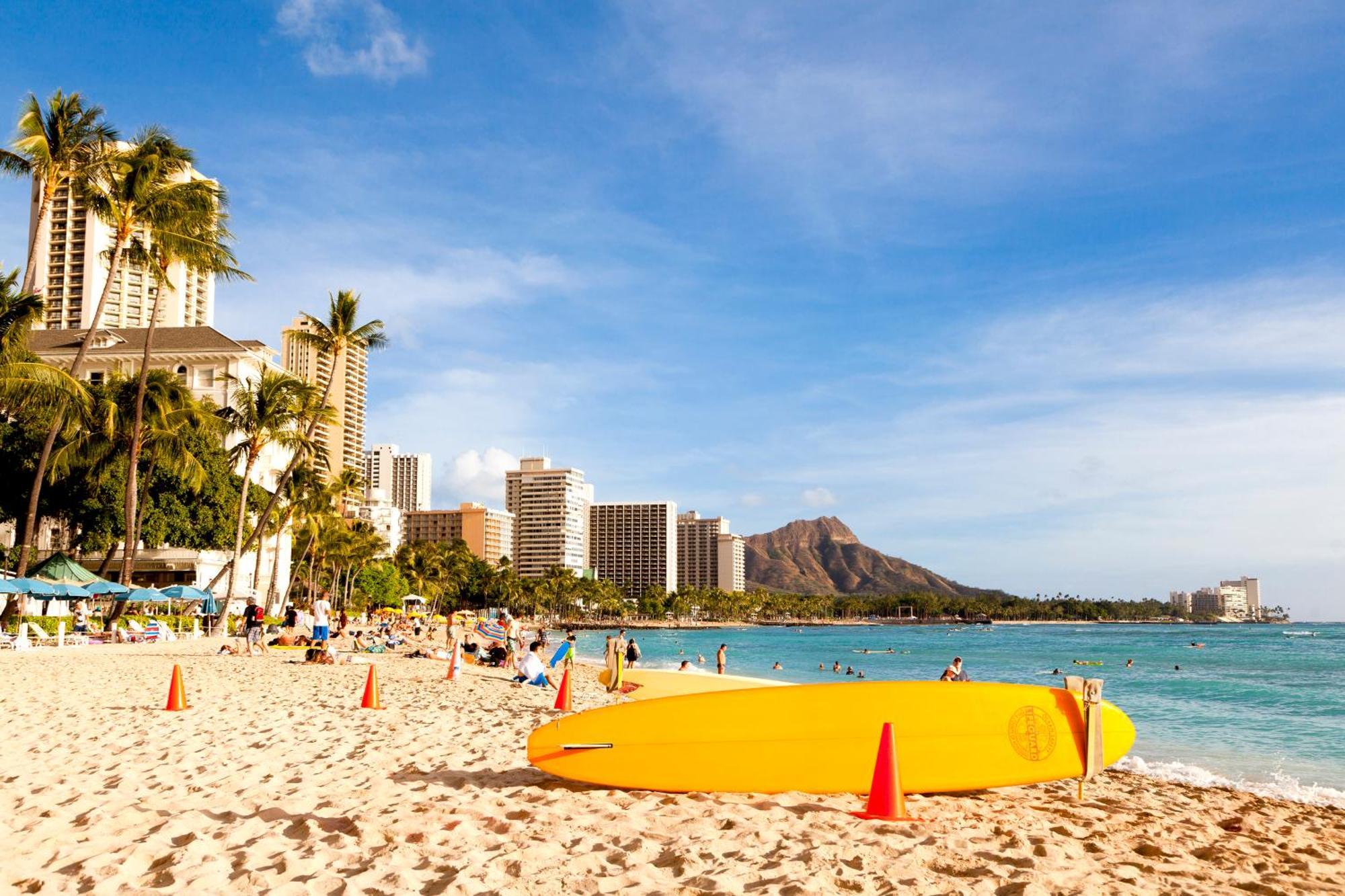 Great Ocean View Condo, Near Beach With Free Parking! Honolulu Eksteriør billede